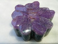 /album/galeria/semitactica-flor-morada-6-jpg/